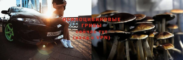 ГАЛЛЮЦИНОГЕННЫЕ ГРИБЫ Надым