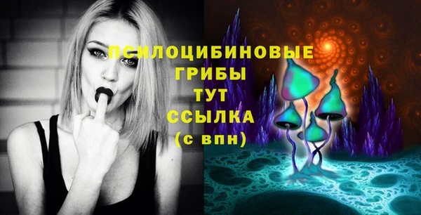 ГАЛЛЮЦИНОГЕННЫЕ ГРИБЫ Надым