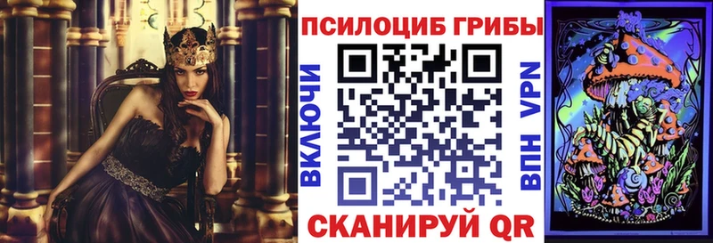 Псилоцибиновые грибы GOLDEN TEACHER  Уржум 